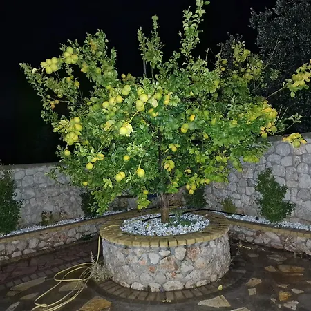 Aurelia Privat Pool * Kolymbia