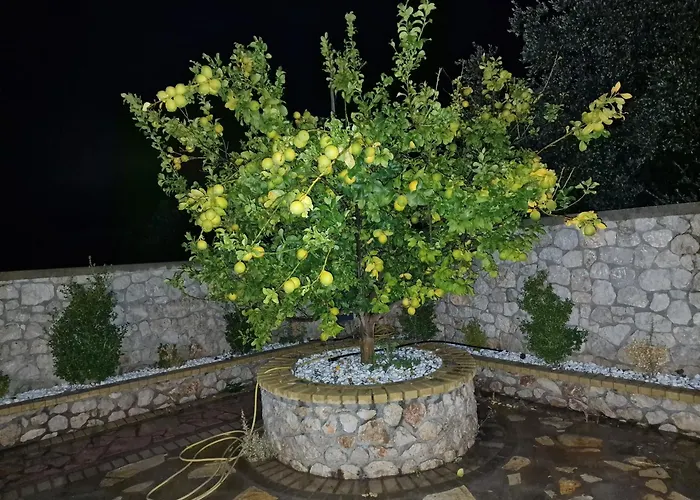 Aurelia Privat Pool * Κολύμπια